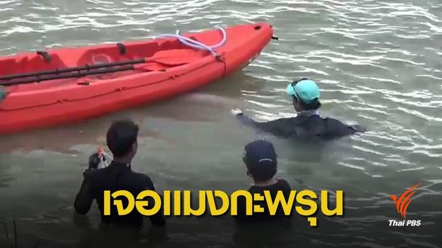 อาสาดูแล "มาเรียม" ถูกพิษแมงกะพรุนกล่อง ล่าสุดปลอดภัยแล้ว