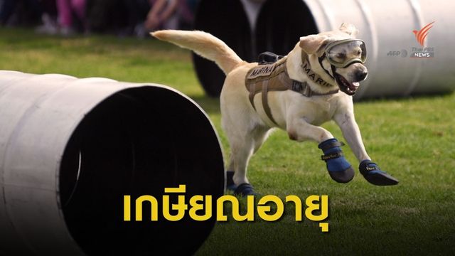 "ฟรีด้า" สุนัขกู้ภัยเม็กซิโก เกษียณอายุหลังทำงานมานาน 9 ปี