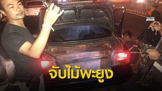 ระทึก! อช.ทับลาน จับกุมผู้ลักลอบตัดไม้พะยูงกลางสี่แยก