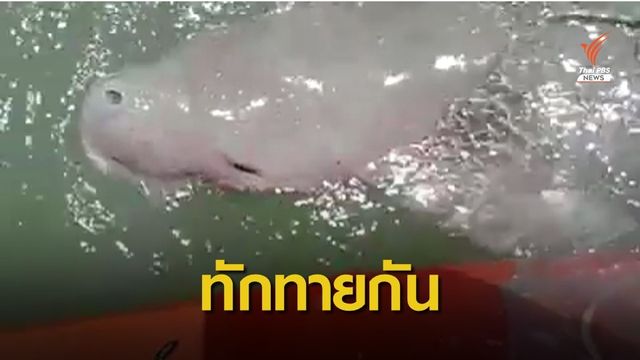 "มาเรียม" มาแล้วโผล่ทักทายข้างเรือแม่ส้ม