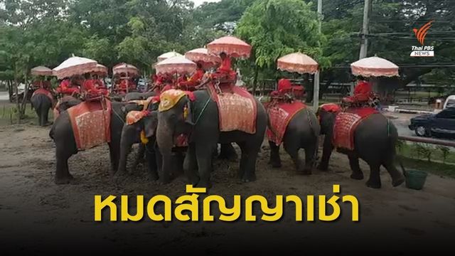 สั่งย้ายปางช้างอยุธยาฯ ออกจากพื้นที่มรดกโลกใน 30 วัน
