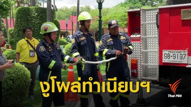 งูเหลือม โผล่ทำเนียบฯ แจ้งกู้ภัยจับ 
