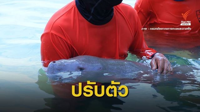 จำกัดคนดูแล "มาเรียม" ให้ปรับตัว-อยู่รอดในธรรมชาติ