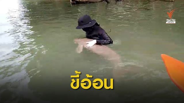 ปรับแผนให้นม "มาเรียม" ตอนกลางคืนหลังน้ำหนักต่ำกว่าเกณฑ์