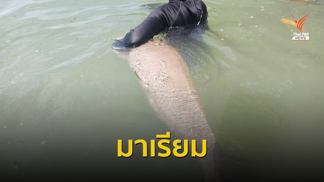 "มาเรียม" นอนกอดท้องเรือแม่ส้ม เลิกเกยตื้นแล้ว 