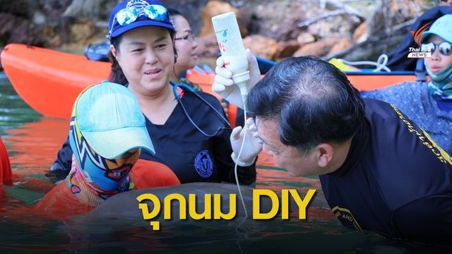 สัตวแพทย์ ทช.ทำจุกนม DIY ป้อน "มาเรียม" 