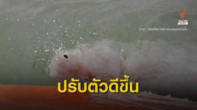 "มาเรียม" แข็งแรง ว่ายตามกระแสน้ำขึ้น-ลงได้เอง
