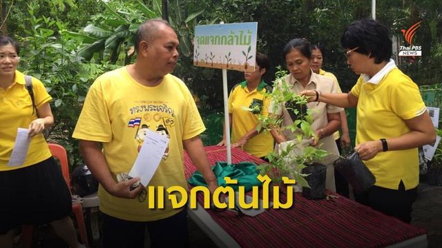 แจกกล้าไม้ดอกสีเหลือง 51,010 ต้น เทิดพระเกียรติ รัชกาลที่ 10