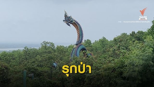 ขีดเส้น 15 วันสางคดีวัดดังสร้างพญานาครุกป่าภูผาเทิบ 