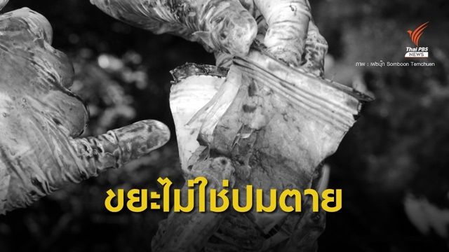 ทช.สรุปขยะไม่ใช่ต้นเหตุตาย "วาฬหัวทุย" คาดป่วย-รอยฉลามกัด