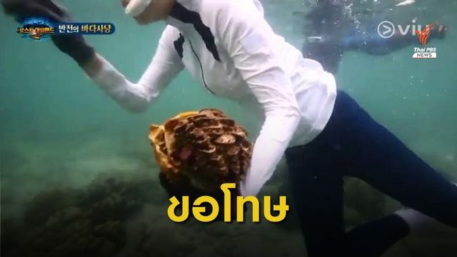 “Law of the Jungle” ขอโทษอย่างเป็นทางการ ปมจับหอยมือเสือ