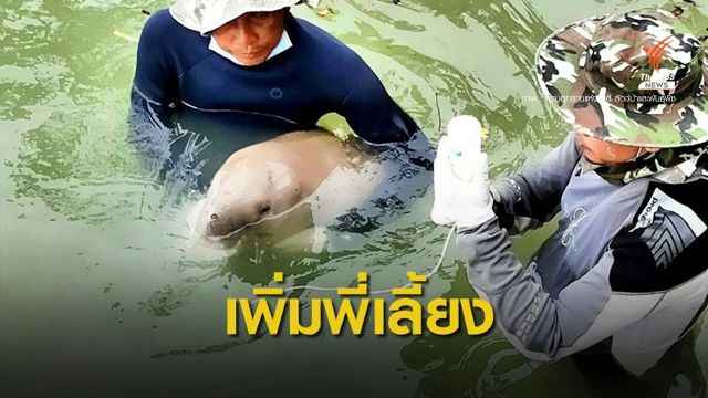 "มาเรียม" ตอบสนองการเลี้ยงดี-เปิดรับอาสาเสริมทีมดูแล