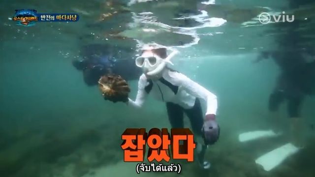 "Law of the Jungle" ลักลอบขึ้นเรือจับหอยมือเสือ นอกพื้นที่ได้รับอนุญาต