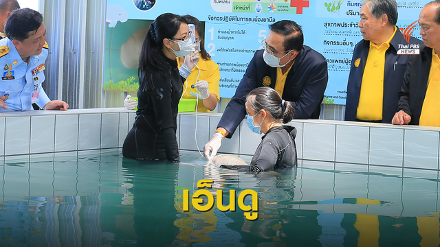 นายกฯ ป้อนนมลูกพะยูน "ยามีล" ระหว่างตรวจราชการที่ภูเก็ต