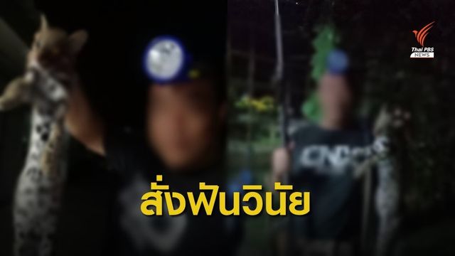 ทบ.ลงโทษทางวินัยทหารยิงแมวดาว โชว์ภาพในกลุ่มไลน์ 