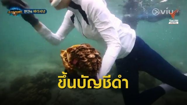 ไทม์ไลน์  "จับหอยมือเสือ" สู่ขึ้นบัญชีดำ Law of the Jungle 