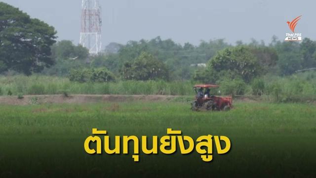 "ต้นทุนการผลิต" อุปสรรคสำคัญชาวนา