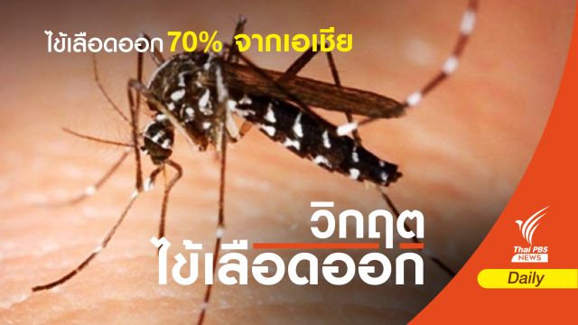ทั่วโลกระบาด 100 ล้านคน 70% มาจากเอเชีย 