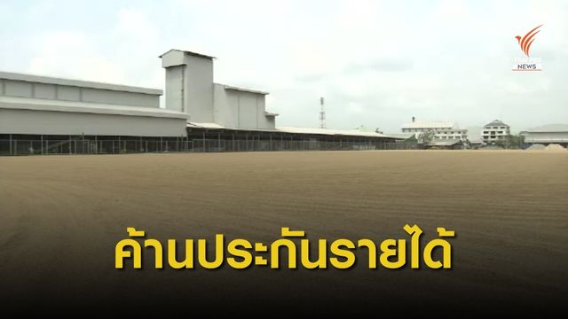 ตัวแทนชาวนา - นักวิชาการ ไม่เห็นด้วยประกันรายได้