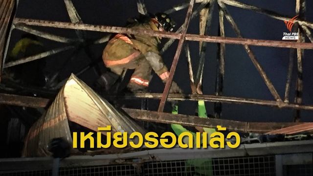 ชื่นชม จนท.ปีนหลังคาช่วยแมว เหตุไฟไหม้โรงงานย่านบางนา