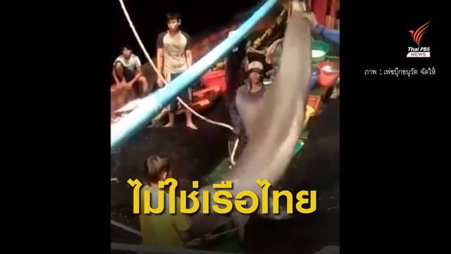 ระบุเรือ "จับโลมา" ในน่านน้ำมาเลย์ ซื้อจากไทยเมื่อปี 59