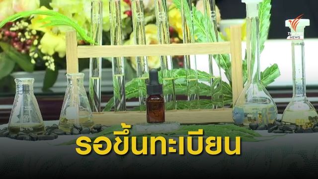 อย.ลั่นไม่เตะถ่วงขึ้นทะเบียนตำรับยาน้ำมันกัญชาของ อ.เดชา  