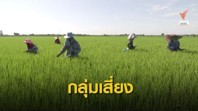 เตือน "เกษตรกร-กลุ่มเสี่ยง" ระวังโรคเนื้อเน่า