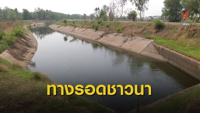 น้ำชลประทานทางรอดข้าวนาปี จ.ขอนแก่น 