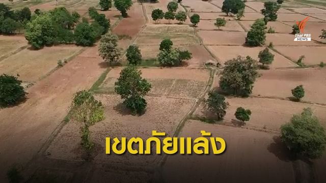 จ.มหาสารคาม ประกาศ 2 อำเภอเป็นพื้นที่ภัยพิบัติแล้ง
