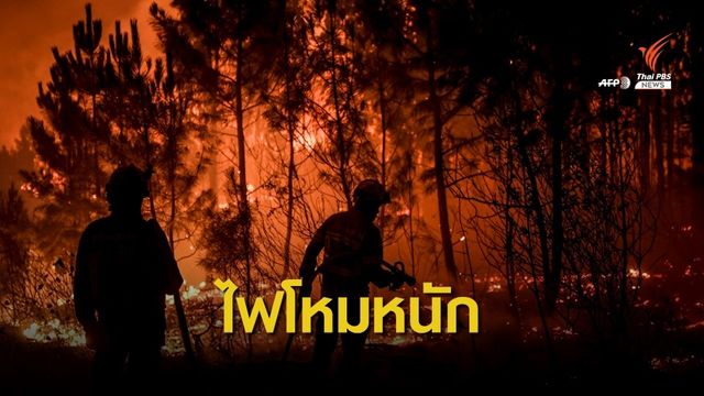 โปรตุเกสระดมดับไฟป่าเผาผลาญ 3 จุดใหญ่ 