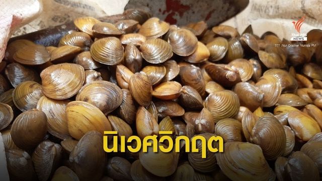 "แม่น้ำโขง" วิกฤต เขื่อนกระทบระบบนิเวศเพี้ยน 