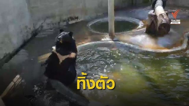 น่ารัก! น้องเจมส์ หมีกำพร้าโชว์ตีลังกาลงน้ำ