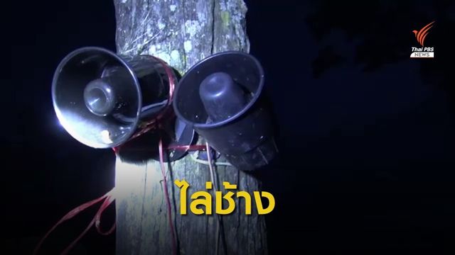 ชาวบ้านป่าละอูเร่งติดไซเรน ป้องกันช้างบุกกินทุเรียน 