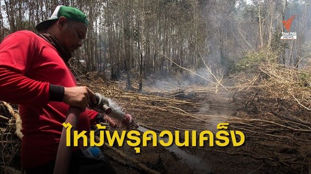ระดมเจ้าหน้าที่ดับไฟไหม้ "พรุควนเคร็ง" รอบใหม่  