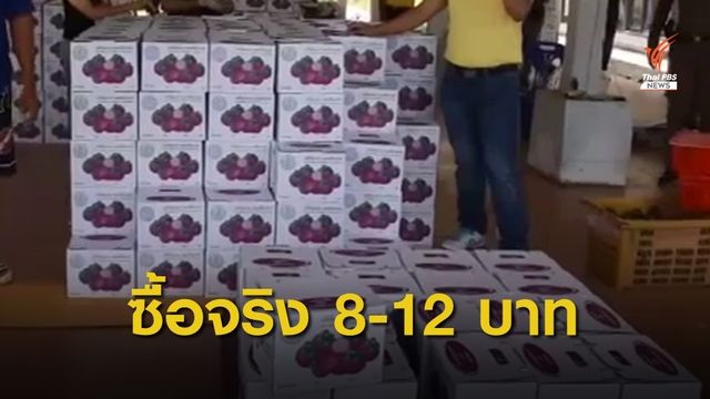 ชาวสวนนครศรีฯ พบพิรุธ ตั้งงบซื้อมังคุดตกเกรด
