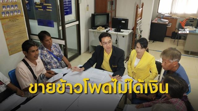 ขายข้าวโพดไม่ได้เงิน ร้องอัยการคุ้มครองสิทธิฯ ช่วยเจรจา จ.นครราชสีมา