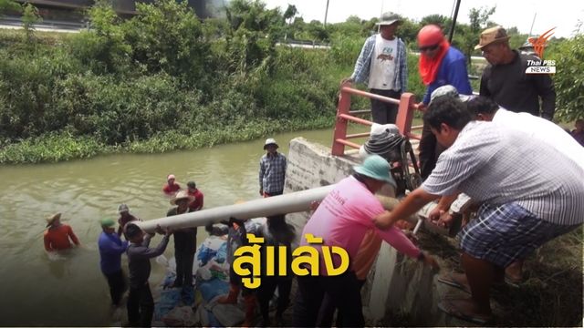 ชาวนาสระบุรีเร่งสูบน้ำเลี้ยงนาข้าว 3 หมื่นไร่ก่อนยืนต้นตาย