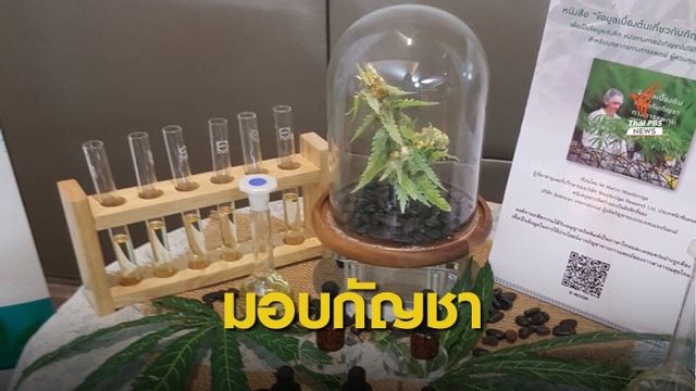 องค์การเภสัชฯ เตรียมส่งมอบกัญชาล็อตแรก ประเดิมผู้ป่วย 3 กลุ่มโรค