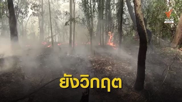 ลมแรง-แล้งจัด อุปสรรคดับไฟไหม้ป่าพรุ "นครศรีฯ-สงขลา" 