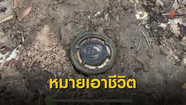 ขบวนการทำไม้พะยูงแนวชายแดนวางกับระเบิดดัก จนท.