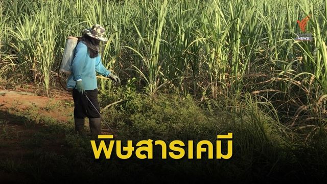เปิดข้อมูลผู้ป่วยบัตรทองปี 2562 พบผู้ป่วยพิษสารเคมีกว่า 3 พันคน
