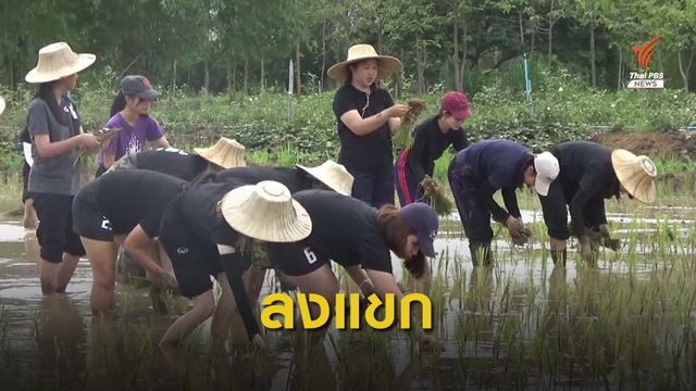 นักศึกษาลงแขกดำนาร่วมอนุรักษ์ประเพณีวัฒนธรรมที่ดีงาม