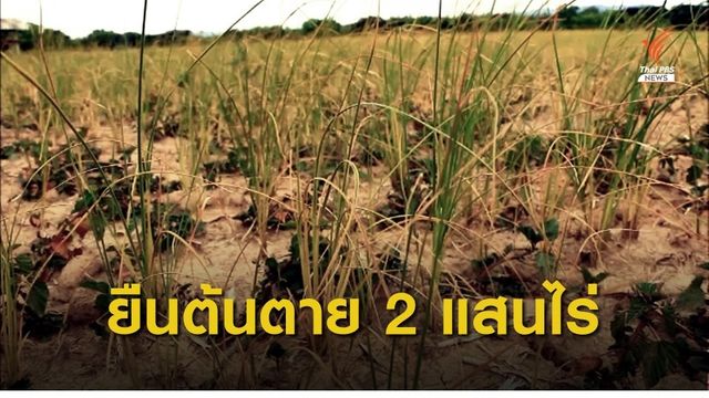 ภัยแล้งกระทบพื้นที่การเกษตรเสียหายแล้วกว่า 2 แสนไร่