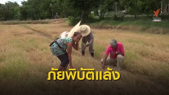 ผู้ว่าฯ สระแก้วประกาศให้ อ.ตาพระยา เป็นเขตภัยแล้ง