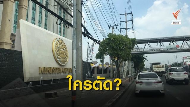 ศรีสุวรรณ จี้ กทม.-ยธ. ตอบปมตัด "ต้นตีนเป็ด" ไม้หวงห้าม 
