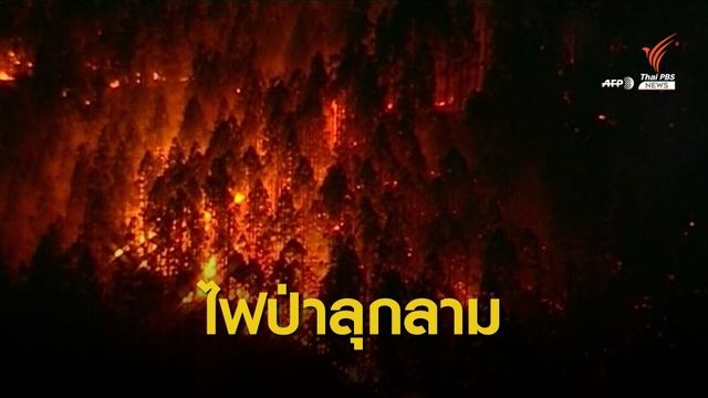 ไฟป่าในสเปนลุกลามกว่า 6,000 ไร่ 