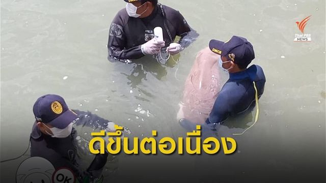 "มาเรียม" อาการดีขึ้น กินหญ้าเองได้