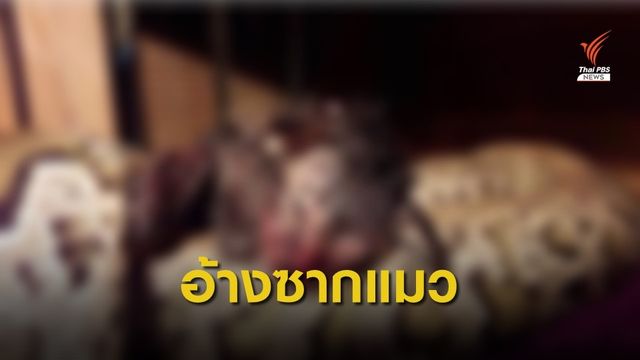 จนท.ระบุเลี้ยงงูมีใบอนุญาต แมวที่เป็นเหยื่อตายก่อนแล้ว