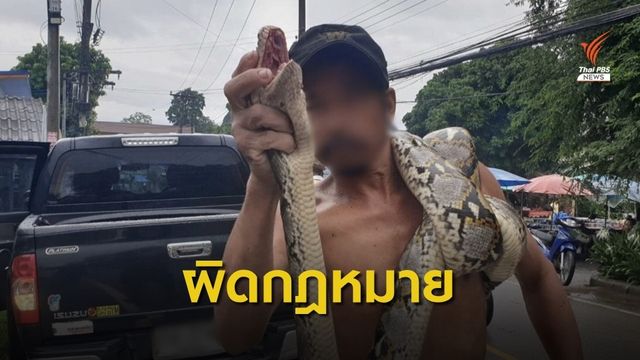 กรมอุทยานฯ จ่อเอาผิดชายโชว์งูเหลือมกลางตลาด จ.เชียงใหม่ 