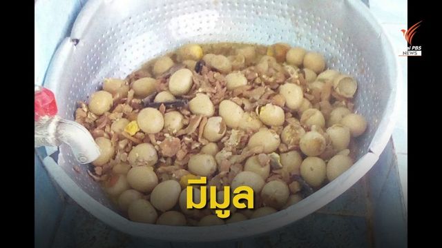 มีมูล! ผลสอบ "ไข่พะโล้บูด" อาหารกลางวันโรงเรียนในปราจีนบุรี